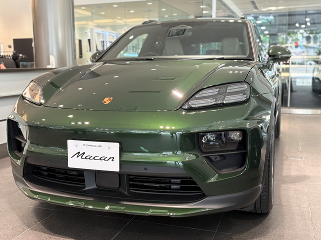 Macan Electronic