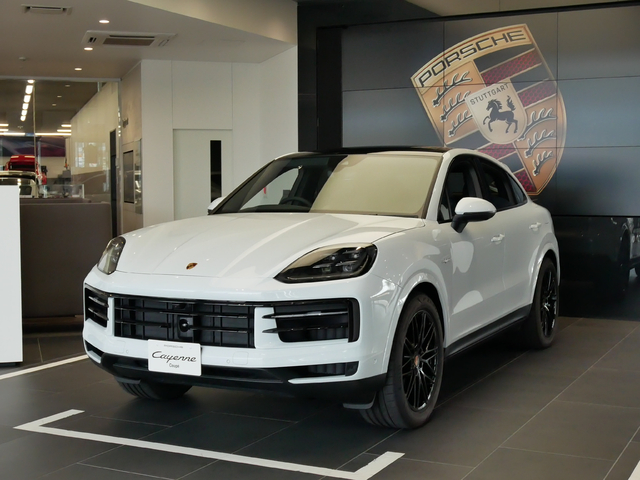 PORSCHE DESIGN 正規 新品未使用品 P8326 5515 ポルシェ PORSCHE DESIGN ポルシェデザイン サングラス ミラーレンズ